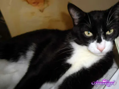 Andi Land OnlyFans Leaked Free Thumbnail Picture - #2Q8cS22gDR