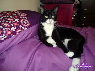 Andi Land OnlyFans Leaked Free Thumbnail Picture - #FFWJrTGBN9