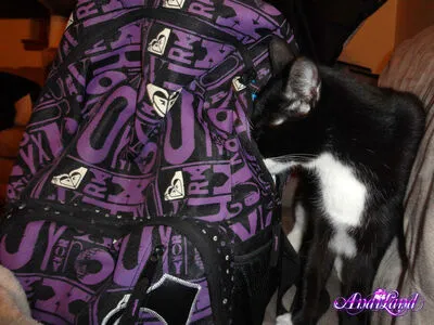 Andi Land OnlyFans Leaked Free Thumbnail Picture - #JOJRBu5Bxe