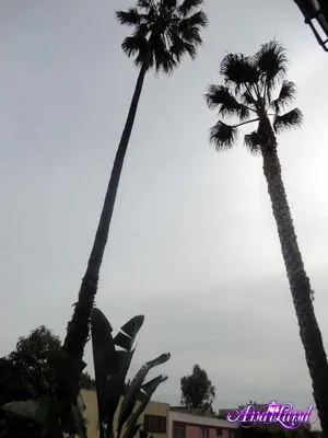 Andi Land OnlyFans Leaked Free Thumbnail Picture - #uBXXvhm22A