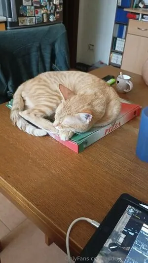 Andrea Ludmilla OnlyFans Leaked Free Thumbnail Picture - #3qpLknjEPY