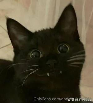 Andrea Ludmilla OnlyFans Leaked Free Thumbnail Picture - #CpMxKVStto