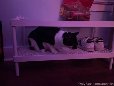 Anexcks OnlyFans Leaked Free Thumbnail Picture - #lOwYXs644d
