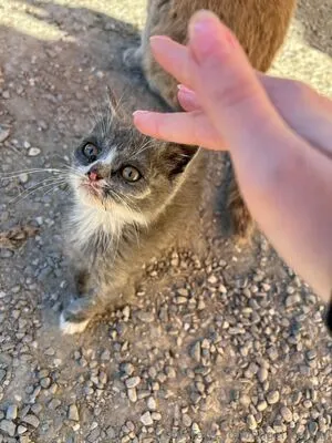 Angel Crystal OnlyFans Leaked Free Thumbnail Picture - #WdW8hGqBkr