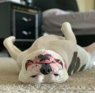 Angeldarkxxx OnlyFans Leaked Free Thumbnail Picture - #1QW65Giw5I