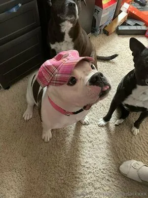 Angeldarkxxx OnlyFans Leaked Free Thumbnail Picture - #ANucj5k8qP