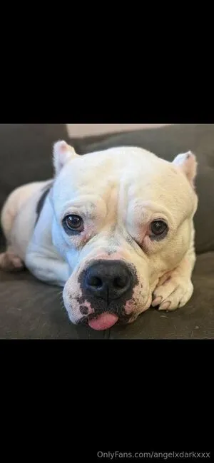 Angeldarkxxx OnlyFans Leaked Free Thumbnail Picture - #FRNwM1HGp3