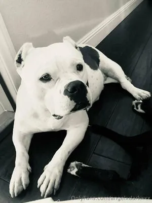 Angeldarkxxx OnlyFans Leaked Free Thumbnail Picture - #LCrjiFoQm8