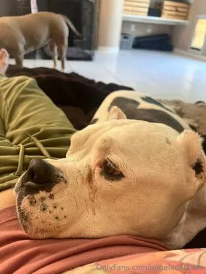 Angeldarkxxx OnlyFans Leaked Free Thumbnail Picture - #bSXAM700Pe