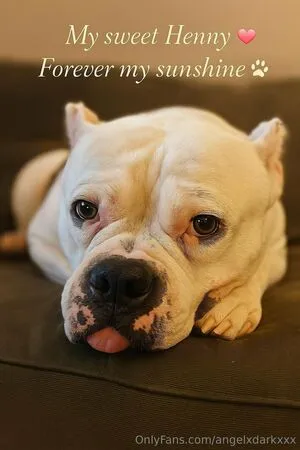 Angeldarkxxx OnlyFans Leaked Free Thumbnail Picture - #r7nQFWK8jZ