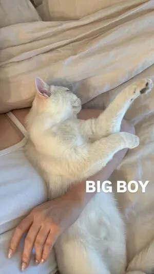 AngelsKimi OnlyFans Leaked Free Thumbnail Picture - #y7DODwP1D9