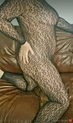Angelwildfree OnlyFans Leaked Free Thumbnail Picture - #oy8XvrOXFZ