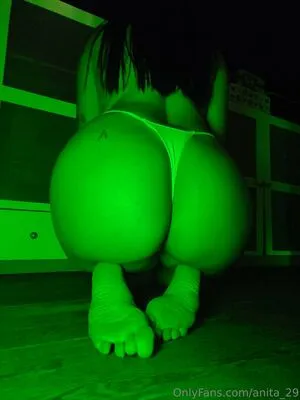 Anita OnlyFans Leaked Free Thumbnail Picture - #iOadEP8XWD