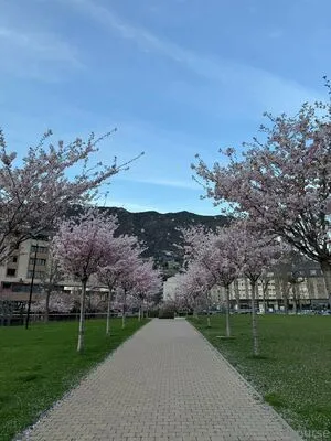 Annynurse OnlyFans Leaked Free Thumbnail Picture - #2fLt3s5aLk