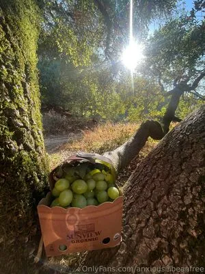 Anxiouslilbeanfree OnlyFans Leaked Free Thumbnail Picture - #FujuNjcl5H