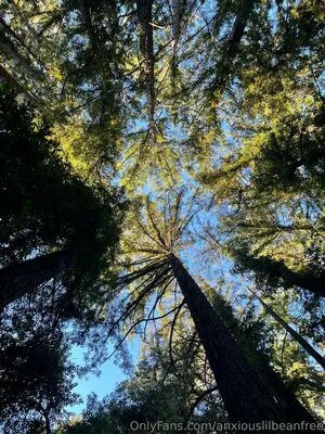 Anxiouslilbeanfree OnlyFans Leaked Free Thumbnail Picture - #rYLwbfkXPH