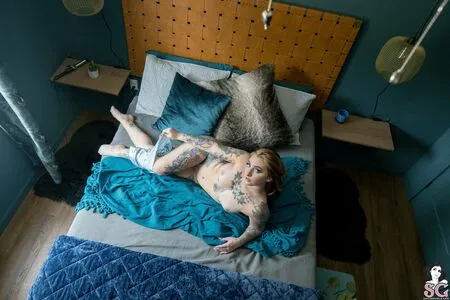 Apex_Suicide OnlyFans Leaked Free Thumbnail Picture - #jF2w2TAJWQ