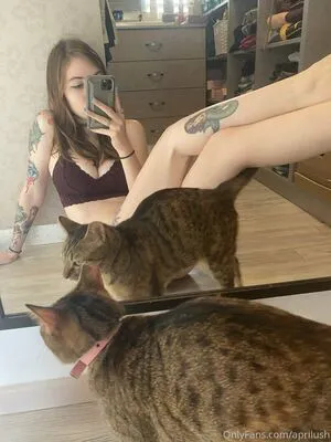 April Harel OnlyFans Leaked Free Thumbnail Picture - #JGWIuh9ibz