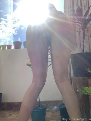 Aprilsun OnlyFans Leaked Free Thumbnail Picture - #Qw8KoAS449