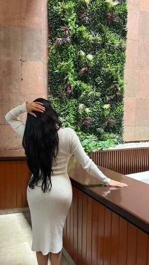 Areeli Ferrer OnlyFans Leaked Free Thumbnail Picture - #8IVvFJhb6L