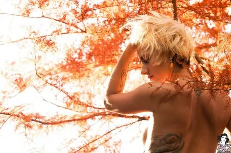 Areia OnlyFans Leaked Free Thumbnail Picture - #jVvfBlAQaX