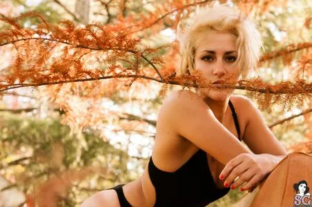 Areia OnlyFans Leaked Free Thumbnail Picture - #vqAMnah2A9