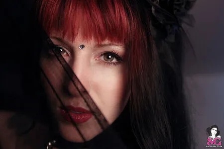 Ari Sg OnlyFans Leaked Free Thumbnail Picture - #tl2kidabCL