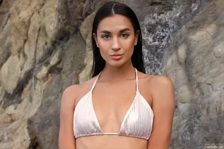 Aria Star OnlyFans Leaked Free Thumbnail Picture - #3T42HDIWto