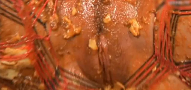 Ariana Jollee OnlyFans Leaked Free Thumbnail Picture - #EhgpbVuI2G