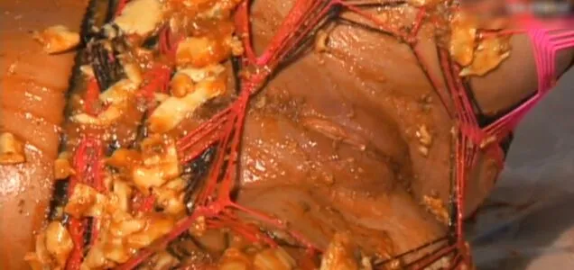 Ariana Jollee OnlyFans Leaked Free Thumbnail Picture - #tunC7Yr9vT