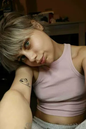 Arianabird OnlyFans Leaked Free Thumbnail Picture - #pVAxSzXhRm