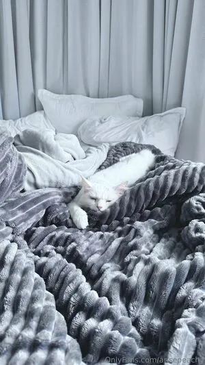 Arisepeachy OnlyFans Leaked Free Thumbnail Picture - #ufOIgY5h43