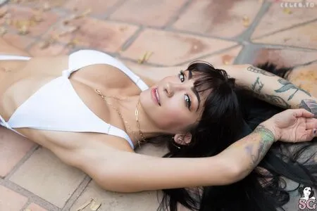 Arrow OnlyFans Leaked Free Thumbnail Picture - #xlo2mqoylw