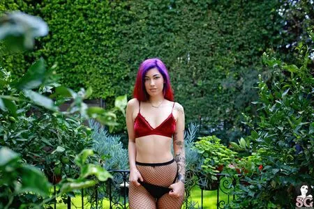 Ashlee Juliet OnlyFans Leaked Free Thumbnail Picture - #PVps9vPAdk
