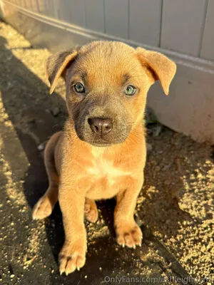 ashleighdunn OnlyFans Leaked Free Thumbnail Picture - #L2kX6UqZgm