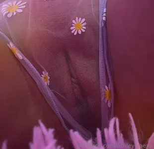 Ashley Raexo OnlyFans Leaked Free Thumbnail Picture - #nogNuXZ9Tj