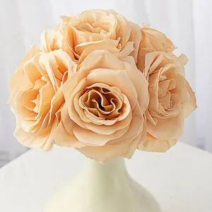 Ashley Rose OnlyFans Leaked Free Thumbnail Picture - #QSfnsEfd3v