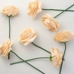 Ashley Rose OnlyFans Leaked Free Thumbnail Picture - #W4S7KFnoDm