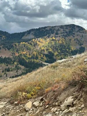 ashleytransgirl OnlyFans Leaked Free Thumbnail Picture - #BCR0BAmuAt