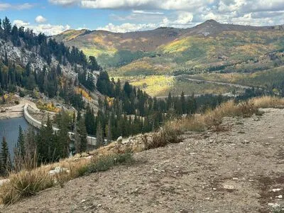 ashleytransgirl OnlyFans Leaked Free Thumbnail Picture - #JR2HDt2lFn