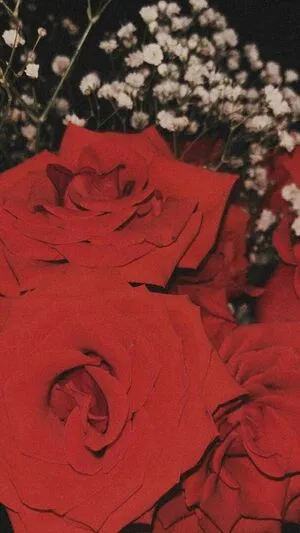 Ashleyyy597 OnlyFans Leaked Free Thumbnail Picture - #BQeWQBFudE