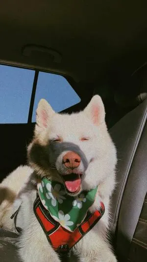 Ashleyyy597 OnlyFans Leaked Free Thumbnail Picture - #bNPY9zmQcO