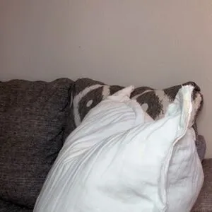 Ashlynn Brooke OnlyFans Leaked Free Thumbnail Picture - #SN3OvPRDp7