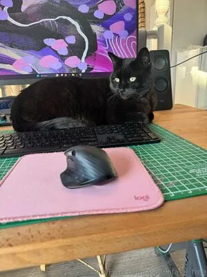 Ashtonfaye Free OnlyFans Leaked Free Thumbnail Picture - #anPSvwVDBp