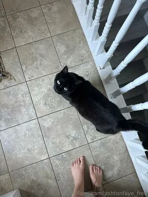 Ashtonfaye Free OnlyFans Leaked Free Thumbnail Picture - #l9wcqPmyd1