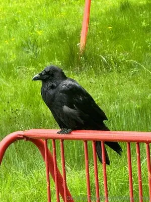 Ashtonfaye Free OnlyFans Leaked Free Thumbnail Picture - #sGtwdzAtWN