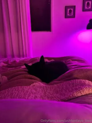 Ashtonfaye Free OnlyFans Leaked Free Thumbnail Picture - #xsJyMHUNFT