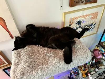 Ashtonfaye Free OnlyFans Leaked Free Thumbnail Picture - #ycARR9wAGM