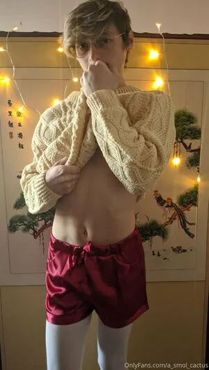 Asmolcactus OnlyFans Leaked Free Thumbnail Picture - #2ITWVDF513