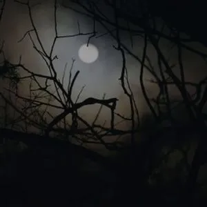 Asmr Nara OnlyFans Leaked Free Thumbnail Picture - #78Y7VNd38W